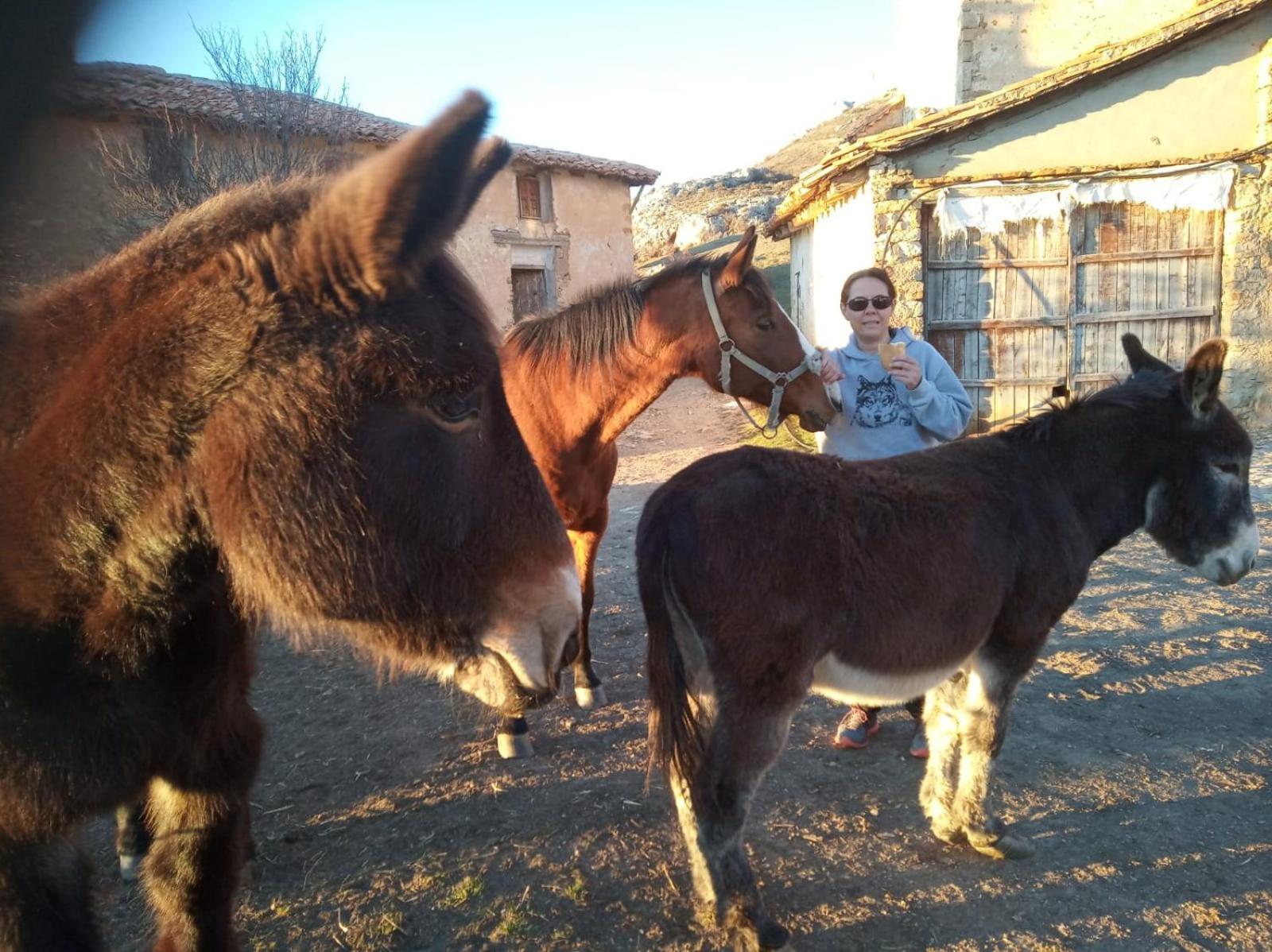 Casa Rural Chulilla Villarroya de los Pinares エクステリア 写真