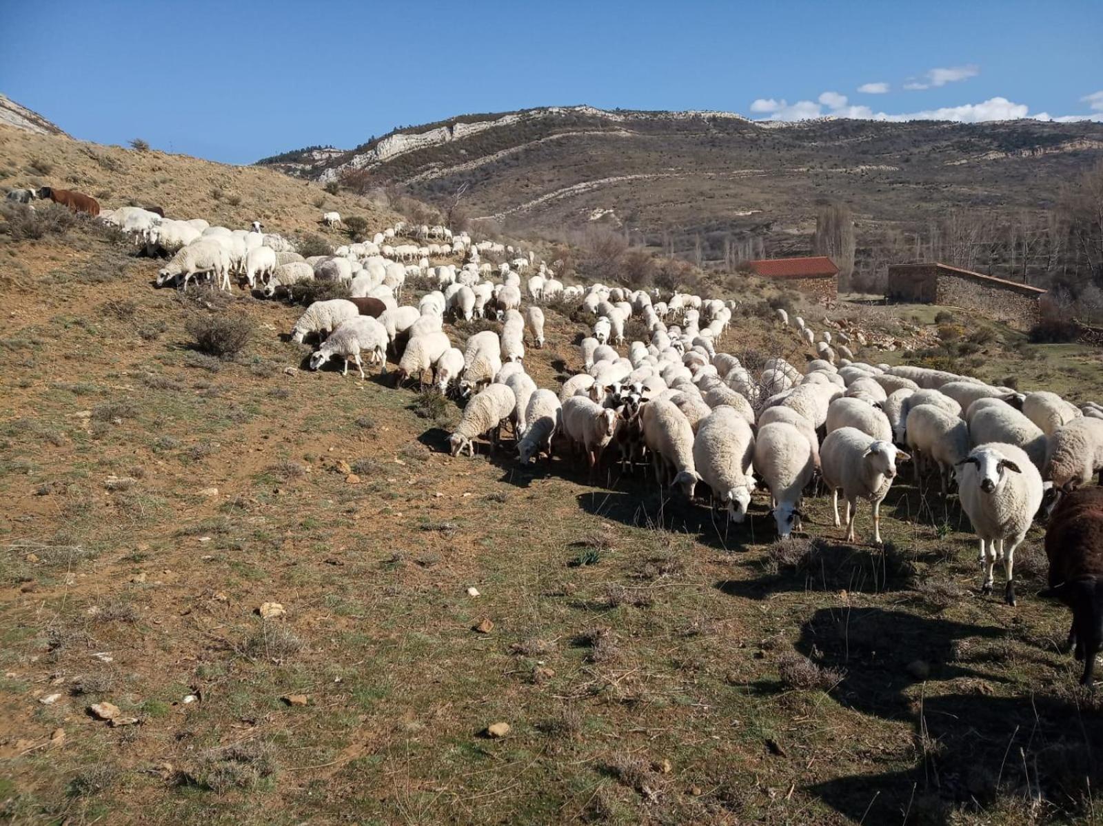 Casa Rural Chulilla Villarroya de los Pinares エクステリア 写真