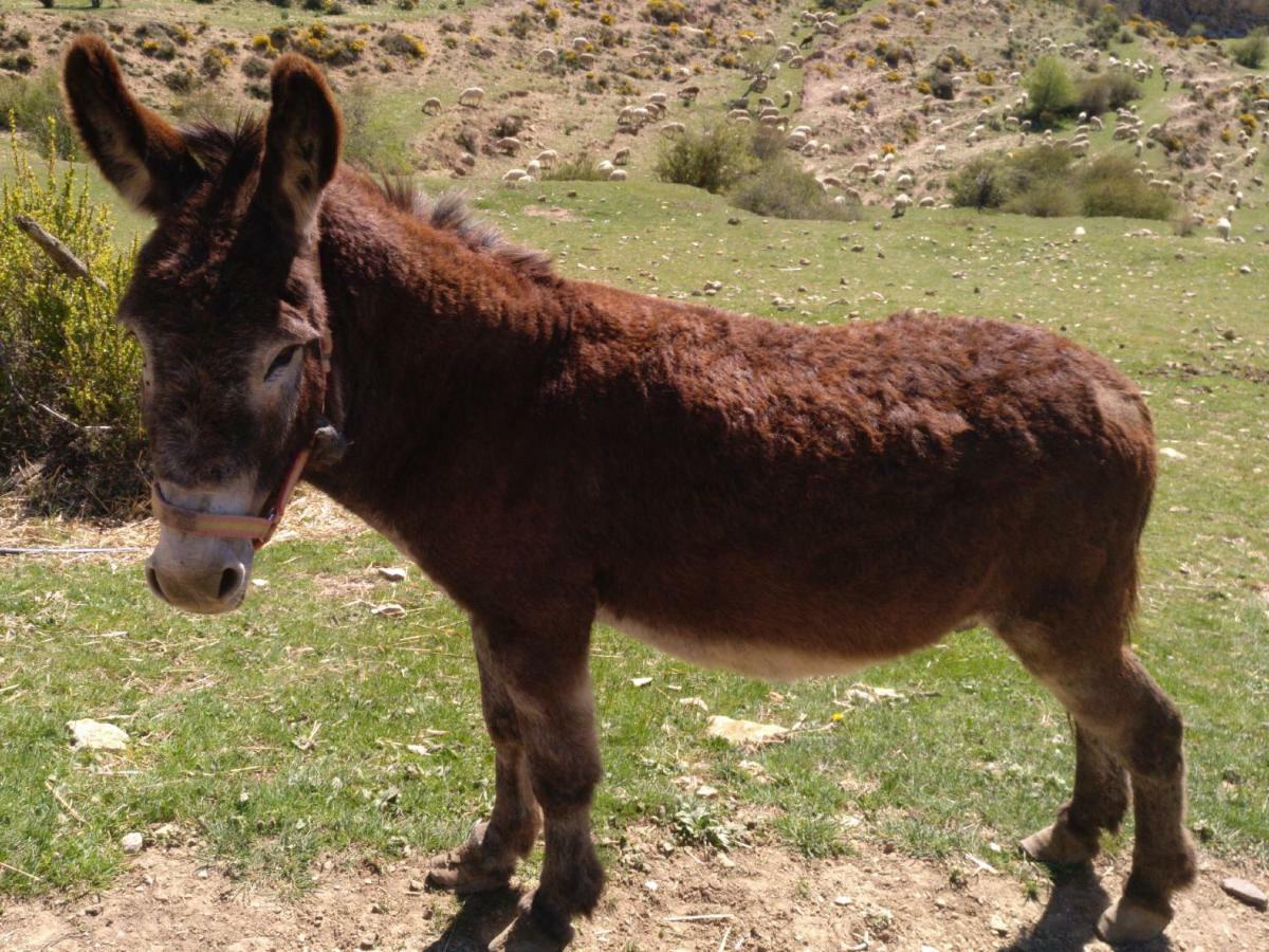 Casa Rural Chulilla Villarroya de los Pinares エクステリア 写真