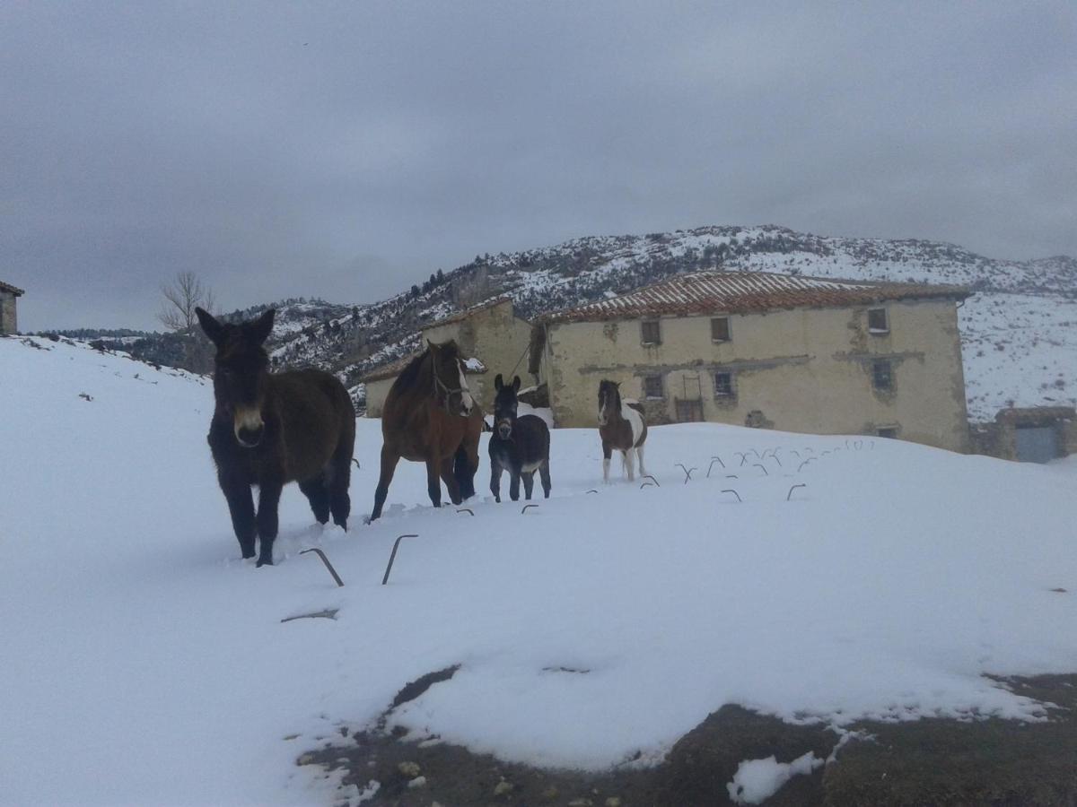 Casa Rural Chulilla Villarroya de los Pinares エクステリア 写真