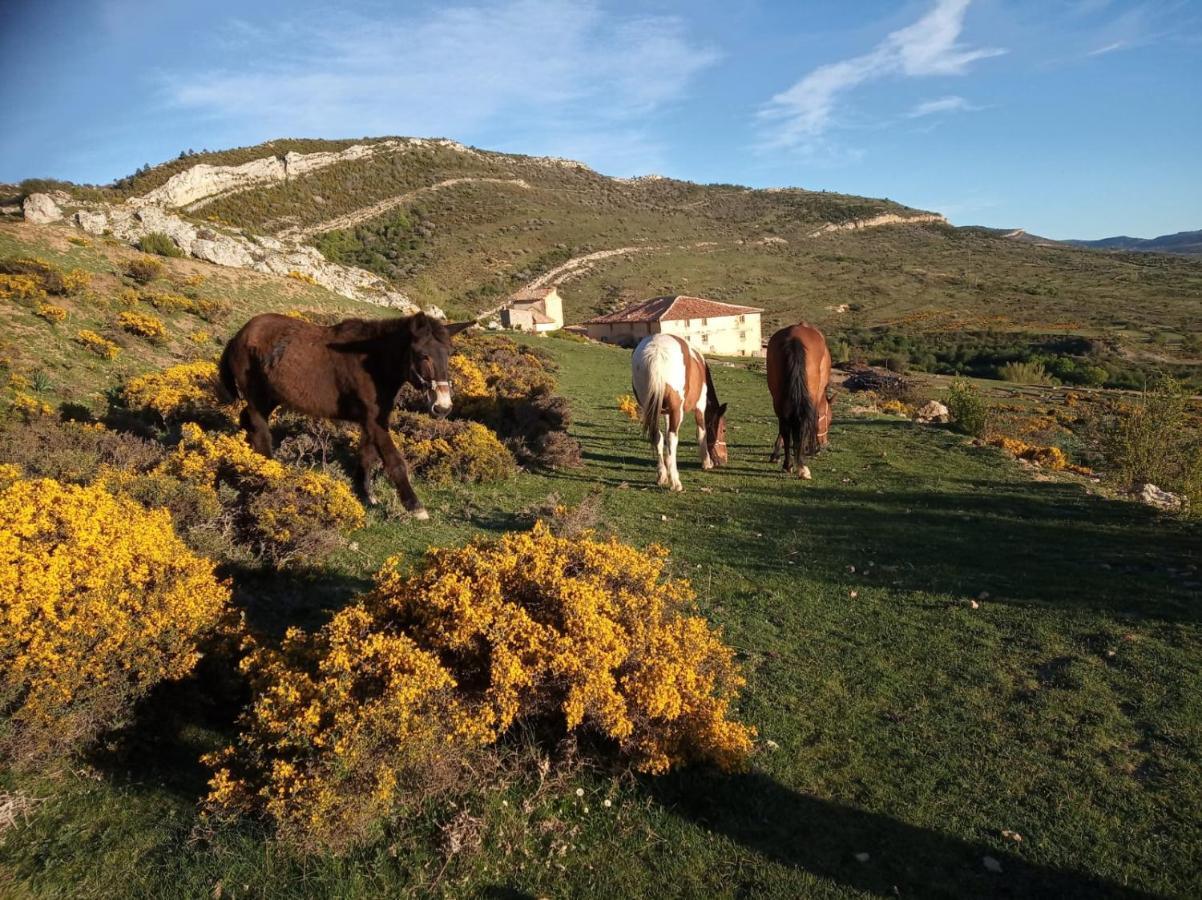 Casa Rural Chulilla Villarroya de los Pinares エクステリア 写真